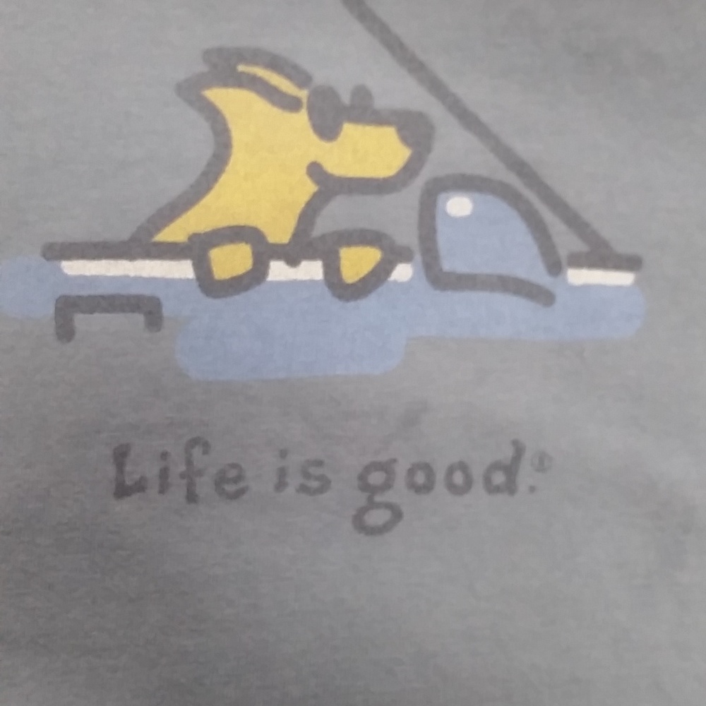 Life Is Good Dog Car